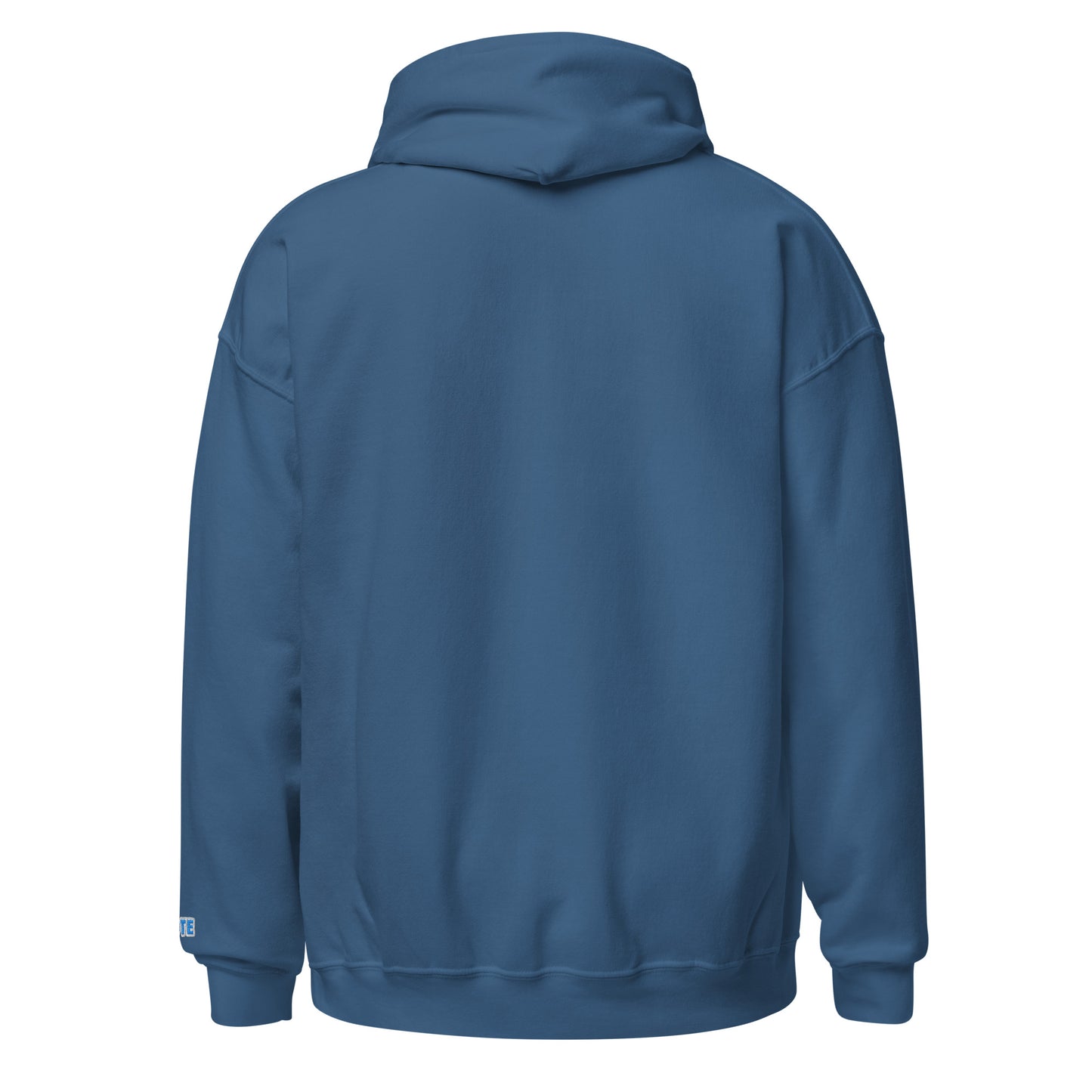 🗳️ VOTE Sweatshirt – Unisex Hoodie | TeesByDaisy